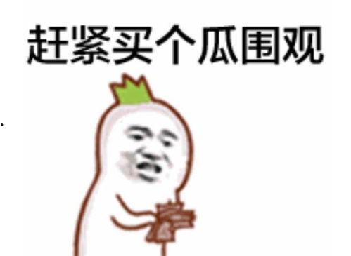 娱乐八卦吃瓜图片表情包可爱,娱乐八卦表情包大集合