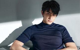 娱乐圈吃瓜爆料林更新,娱乐圈爆料背后的真相与争议